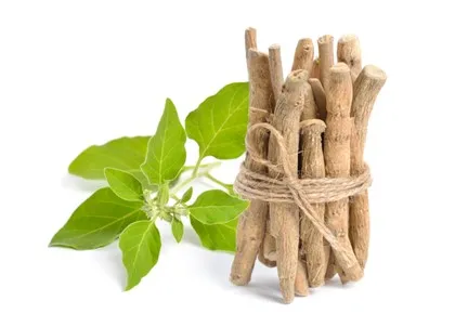 Ashwagandha Gesundheit Vorteile